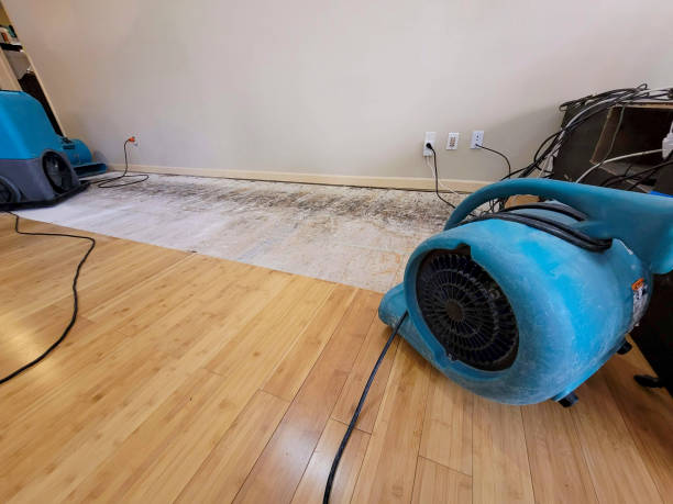 Professional Water Damage Repair technician working in Auburn, ME